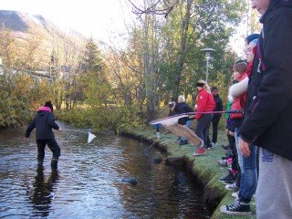 7. bekkur í útikennslu í náttúrufræði