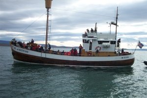 Silgt vestur í Flatey