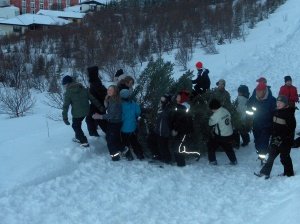 Nemendur að fara með jólatréð til byggða