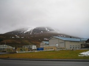 Umferðaröryggi skólabarna