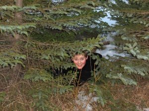 Sjöundi í skógarhögg