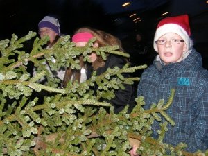 Nemendur 7. bekkjar sækja jólatréð