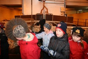 Sveitaferð 4. bekkjar