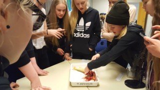 Hópurinn kryfur fiskinn