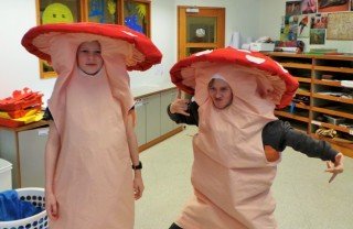 Sveppir á Öskudegi