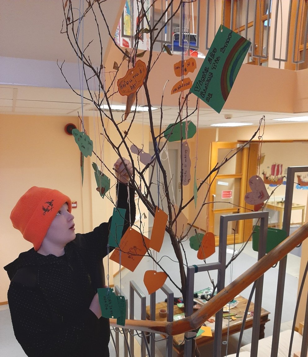 Eitt vináttutrjánna sem uxu um allan skóla.