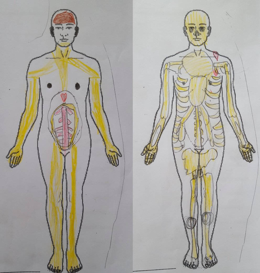 Það er að mörgu að hyggja í mannslíkamanum