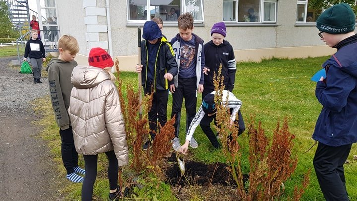 Nemendur sjöunda bekkjar jarðsetja þrestina