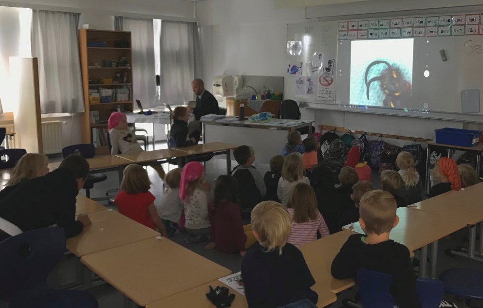 Hér skoða nemendur fálmarana