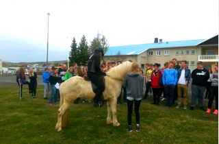 Áhugasviðsverkefni