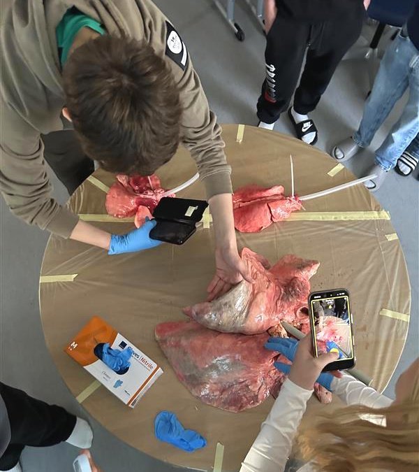 Verkleg kennsla í náttúrugreinum