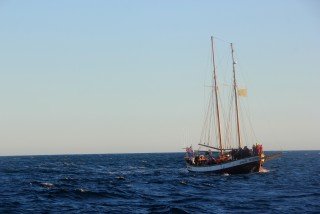 Á siglingu um Skjálfanda