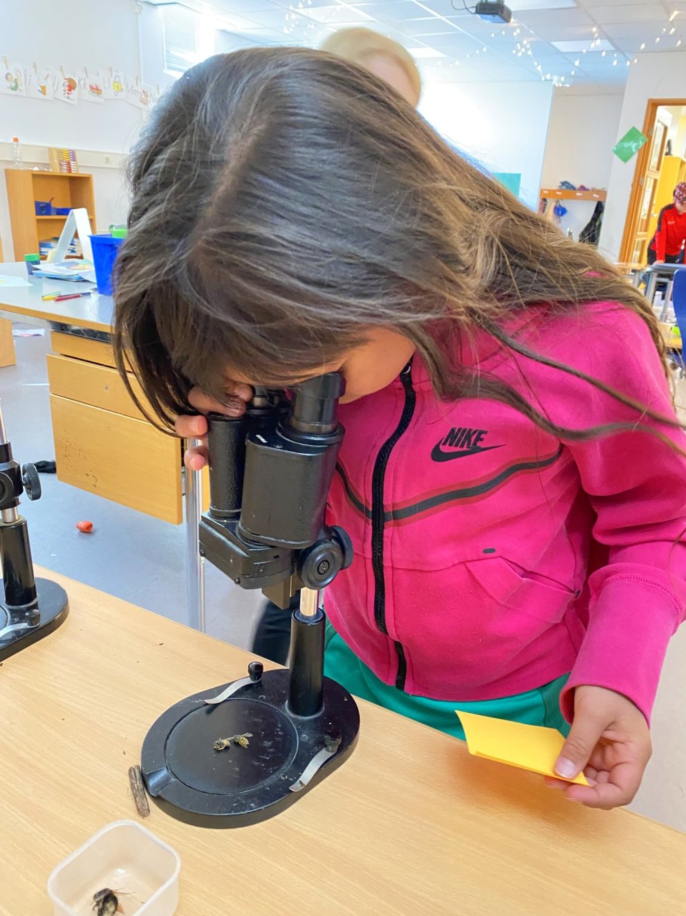 Nemendur rannsaka nærumhverfið