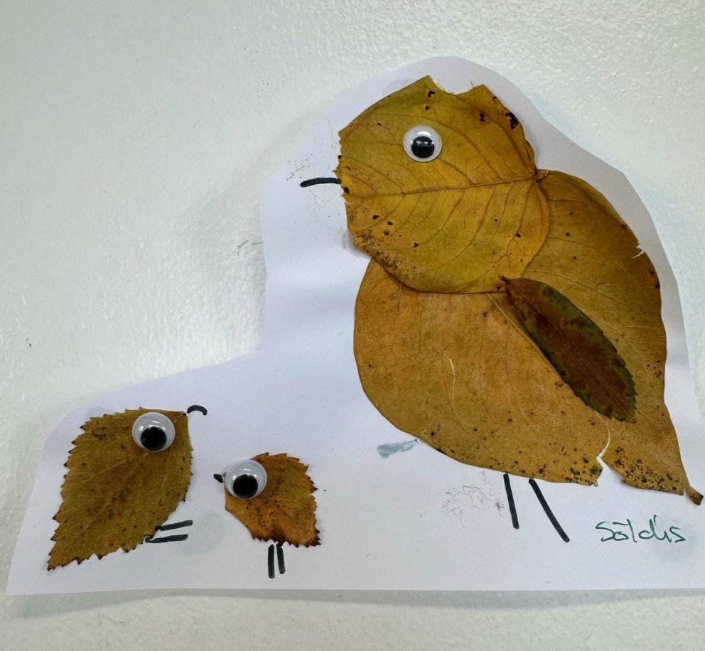 Plöntur til manneldis