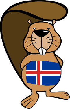 Bifur áskorunin – rökhugsun & tölvufærni