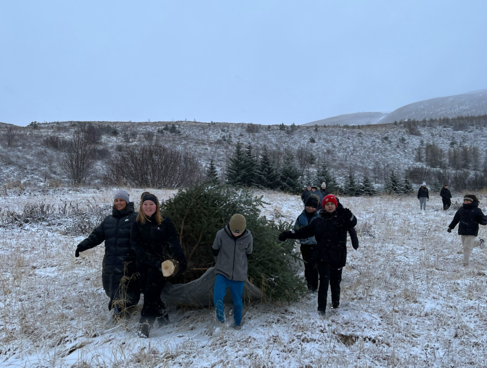 Jólatréð var sótt á svæðið sem kallast Skólaskógur