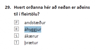 Er orðið áhyggjur aðeins til í fleirtölu?