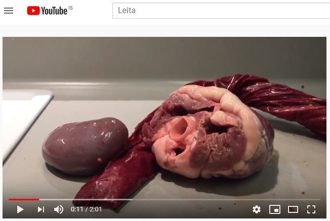 Nemendur í sláturgerð