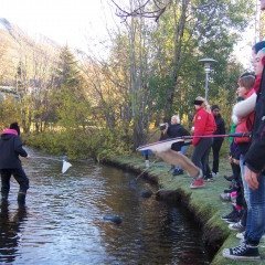 7. bekkur í útikennslu í náttúrufræði