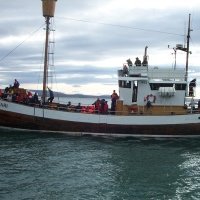 Silgt vestur í Flatey