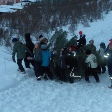 Nemendur að fara með jólatréð til byggða