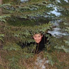 Sjöundi í skógarhögg