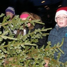 Nemendur 7. bekkjar sækja jólatréð