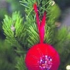 Verkstæðisdagur í Borgarhólsskóla föstudaginn 3. desember 2010