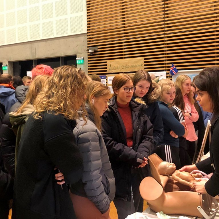 Hér er verið að kynna hjúkrunarfræði og ljósmæðrun.