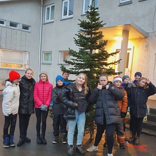 Nemendur sóttu jólatré skólans