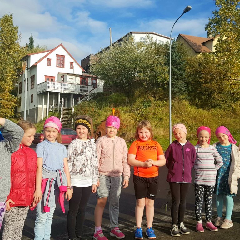 Nemendur í húsasöguferð með Hallanda, Hliðskjálf og Móberg í baksýn.