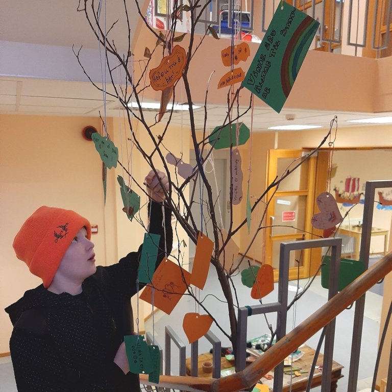 Eitt vináttutrjánna sem uxu um allan skóla.