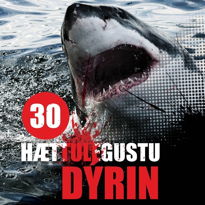 Vinsælasta bókin í Borgarhólsskóla 2019