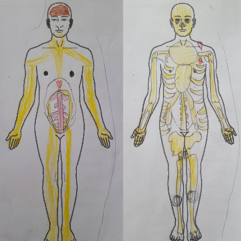 Það er að mörgu að hyggja í mannslíkamanum