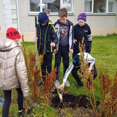 Nemendur sjöunda bekkjar jarðsetja þrestina