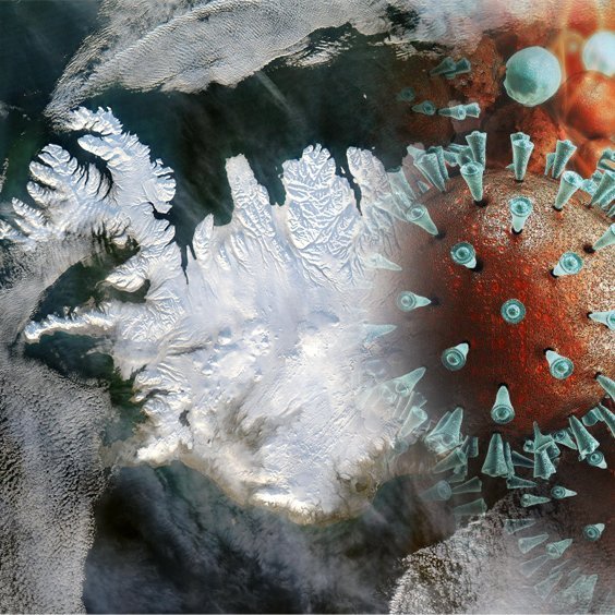 37 hafa greinst með COVID-19 veiruna hér á landi.