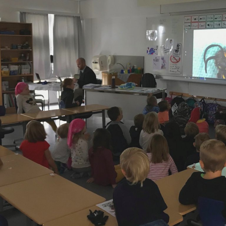 Hér skoða nemendur fálmarana