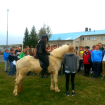 Áhugasviðsverkefni