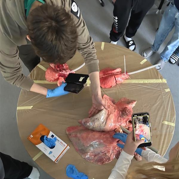 Verkleg kennsla í náttúrugreinum