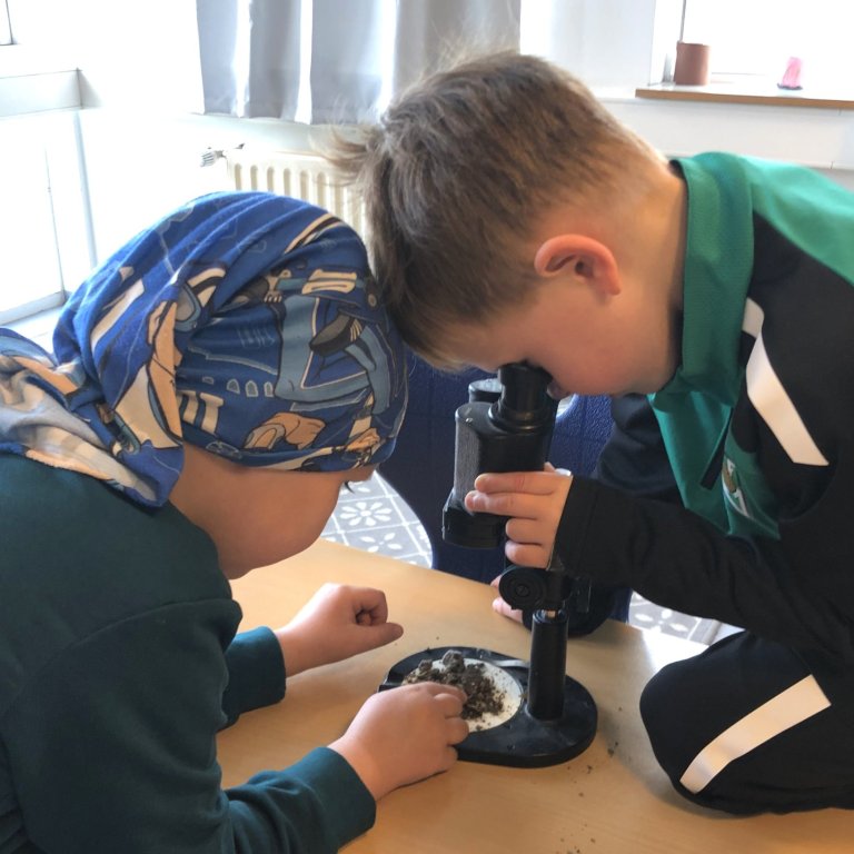 Rýnt í lífríkið