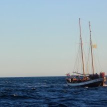 Á siglingu um Skjálfanda