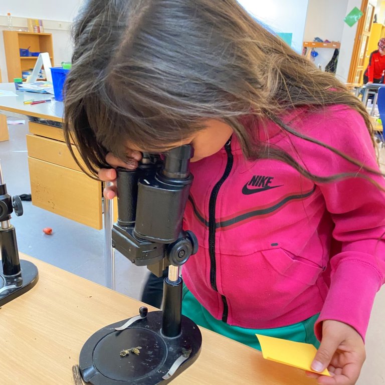 Nemendur rannsaka nærumhverfið