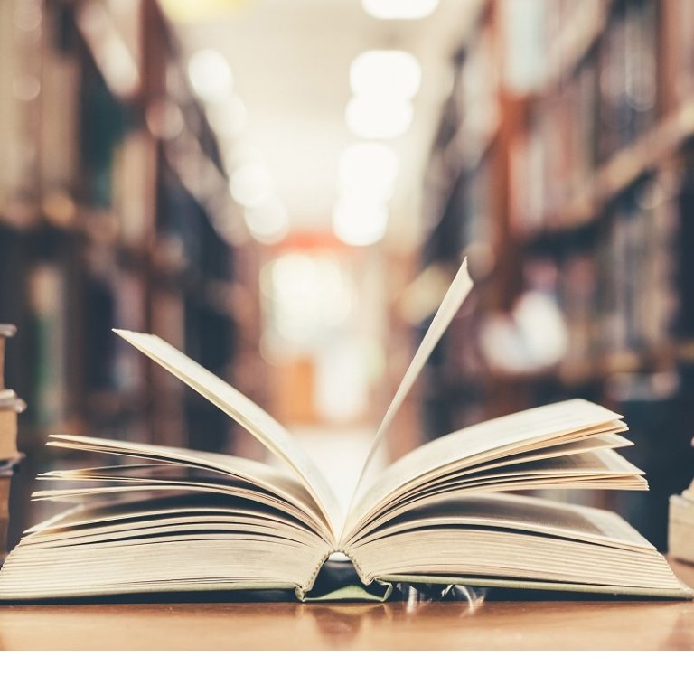 Alþjóðadagur læsis