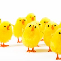 Hver er táknmynd páska?