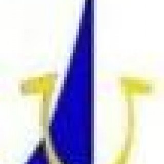 Innritun barna fædd árið 2010