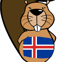 Bifur áskorunin – rökhugsun & tölvufærni