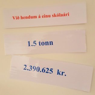 Við hendum mat fyrir tæplega tvær og hálfa milljón