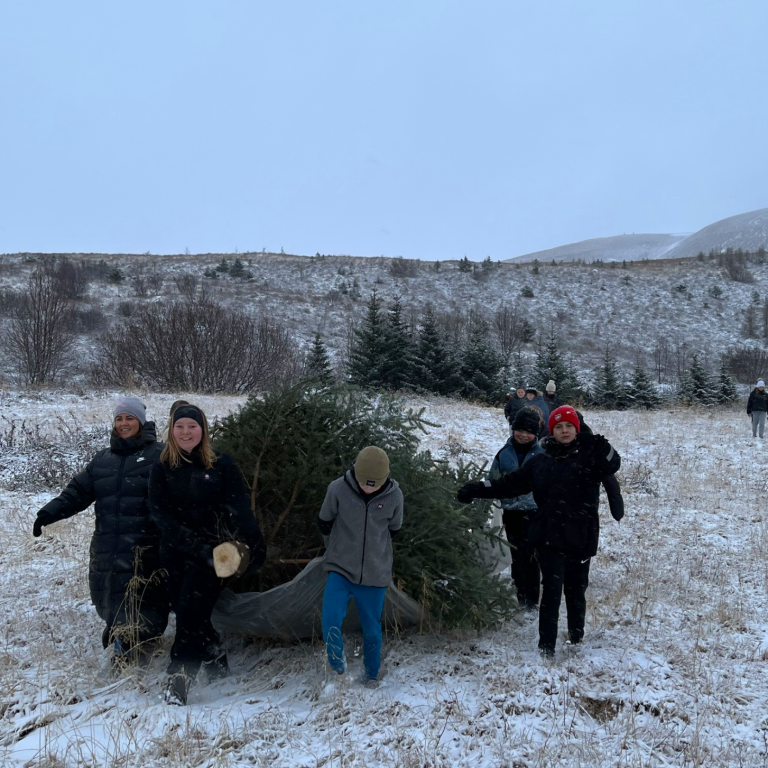 Jólatréð var sótt á svæðið sem kallast Skólaskógur