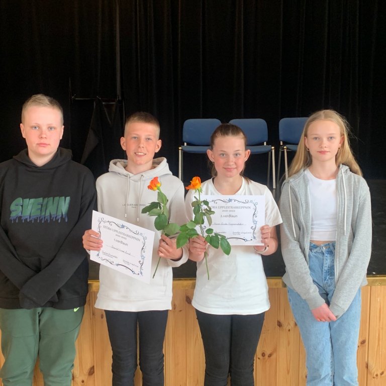 Fulltrúar skólans í keppninni, f.v. Sveinn Jörundur, Daníel Snær, Karen Linda og Bryndís Vala.