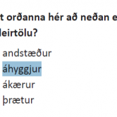 Er orðið áhyggjur aðeins til í fleirtölu?